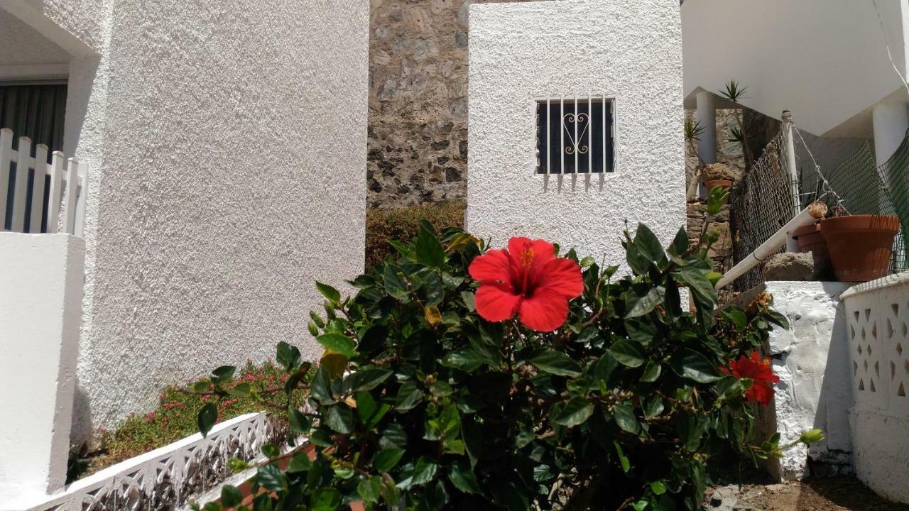 Bonaire Appartement Puerto Rico  Buitenkant foto
